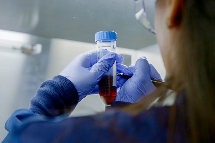Gloved hands holding a blood sample tube under a fume hood.